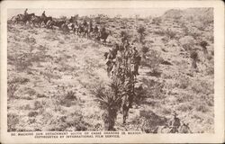 Machine Gun Detachment South of Casas Grandes in Mexico Postcard