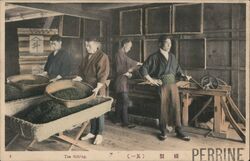 Tea Sifting, Japan Postcard