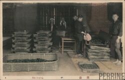 Tea Drying, Formosa, Japan Postcard