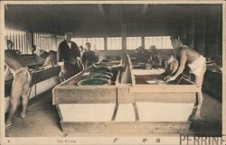 Tea Firing, Japan Postcard