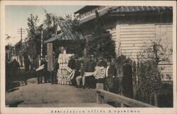 Radish Association Office & Specimen, Japan Postcard