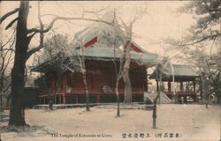 Kiyomizu Temple at Ueno Park, Tokyo, Japan Postcard