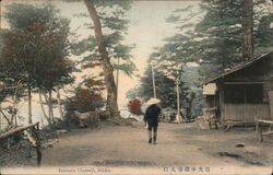 Entrance Chuzenji, Nikko Japan Postcard Postcard Postcard