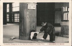 Todaiji Temple Nara, Large Wooden Column Japan Postcard Postcard Postcard