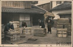 Packing Tea for Shipment, Japan Postcard