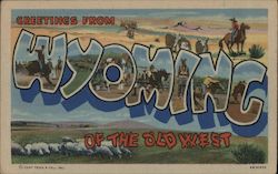 Greetings from Wyoming Postcard