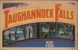 Greetings from Taughnnock Falls State Park Postcard