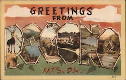 Greetings from Pocono Mountains Pennsylvania Postcard Postcard Postcard