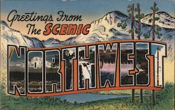 Greetings from Scenic Northwest Large Letter Postcard Postcard Postcard