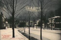 Elm Street (Winter) by Moonlight, Oneonta, N. Y. Photo taken at Midnight, 12 below zero. Postcard