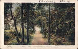 Lovers Lane, Jamestown Exposition Grounds Virginia 1907 Jamestown Exposition Postcard Postcard Postcard