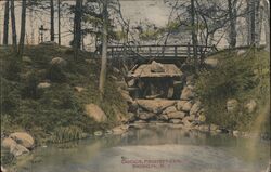 Cascade, Prospect Park, Brooklyn, New York Postcard