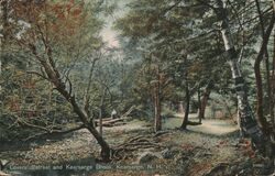 Lovers' Retreat and Kearsarge Brook, Kearsarge, NH Postcard