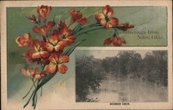 Greetings from Niles, Ohio - Meander Creek Postcard