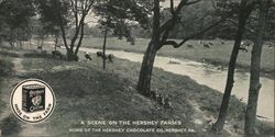 Hershey Farms, Home of Hershey Chocolate Co. Pennsylvania Postcard Postcard Postcard