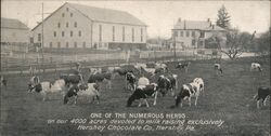 Hershey Chocolate Co. Dairy Farm, Hershey, PA Pennsylvania Postcard Postcard Postcard