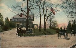 McGown's Pass Tavern, Central Park, New York City Postcard Postcard Postcard