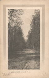 Scene Near Roscoe NY - Dirt Road, Trees New York Postcard Postcard Postcard