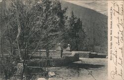 Glen Atty Bridge, Near West Shokan, Catskill Mts. New York Postcard Postcard Postcard