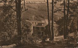 Hotel Inverness Through the Trees, Inverness, CA Postcard