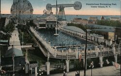 Steeplechase Swimming Pool, Coney Island, NY Postcard