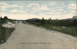 Sugarloaf Hill in the Distance, Shinnecock Hills, Long Island Postcard