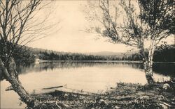 Little Diamond Pond, Colebrook, NH Postcard