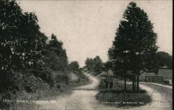 Vickers Branch Road, Chestertown, MD Postcard