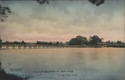 Peachblossom Bridge, Easton, MD Postcard