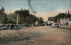 Salem Willows, Salem, Massachusetts Postcard Postcard Postcard