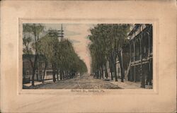 Richard St., Bedford, PA Postcard