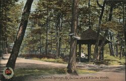 Glen Summit Springs, Pa. On Line of LV.R.R. In the Woods Postcard