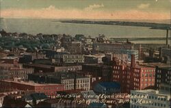 Bird's Eye View from High Park Tower Postcard