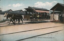 Rapid Transit at Block Island, RI - Horse-drawn Trolley Postcard