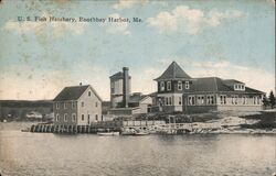 U.S. Fish Hatchery, Boothbay Harbor, Maine Postcard