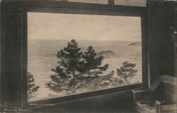 View From Carmel Highlands Inn, Carmel-by-the-Sea, California S. Levin Postcard Postcard Postcard