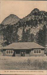 Estes Park Fish Hatchery, Colorado Postcard Postcard Postcard