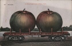 A Prize Load from Clifton, Colorado - Giant Apples Postcard Postcard Postcard