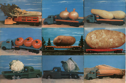 Set of 9 Exaggerated Vegetables on Toy Trucks Exaggeration Postcard Postcard Postcard