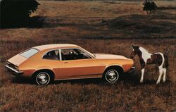 1971 Ford Pinto 2-Door Sedan with Foal Cars Postcard Postcard Postcard