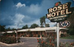 The Rose Motel Postcard