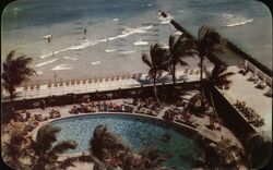 Tropical Pool and Ocean View, Miami Beach, Florida Postcard