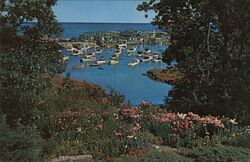 Perkins Cove from garden of Dan Sing Fan Tea Room, Ogunquit, Maine Postcard