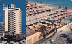 Shelborne Hotel, Miami Beach, Florida Postcard