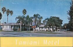 Tamiami Motel, Bradenton, Florida Postcard