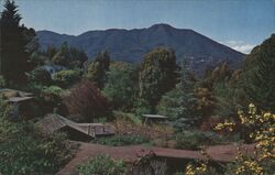 Mt. Tamalpais, Marin County, Calif. Postcard