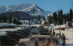 Skiers at Stevens Pass Skykomish, WA Postcard Postcard Postcard