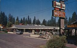 Shasta Pines Motel, Burney, California Postcard