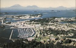 Sitka, Alaska Aerial View, Sheldon Jackson College Darryl Scepaznski Postcard Postcard Postcard