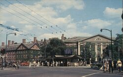 Street View of Harvard Square Cambridge, MA Postcard Postcard Postcard